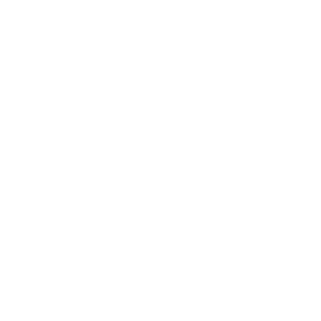 Emira Noor